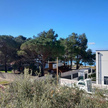 Apartmani Fila Vrsi Exterior foto