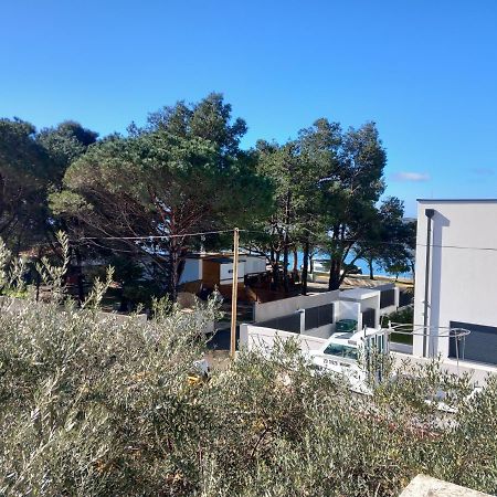 Apartmani Fila Vrsi Exterior foto